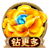 星空平台官网安卓版
